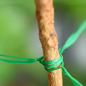 식물 고정철사 지지대묶는 빵끈 농사 원예 고정끈