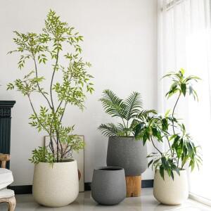 심플 스톤 시멘트 화분 거북이 등 모양 대나무 실내 거실 발코니 고급 대형 직경 분재