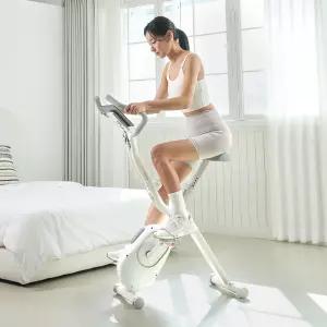 숀리 엑스바이크 E3A 메타 (IW-652-E3A)