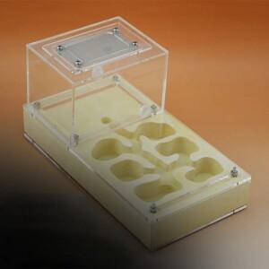 Shi Wang Ant Hall 아크릴 석고 플랫 조합, 개미 둥지, 빌라