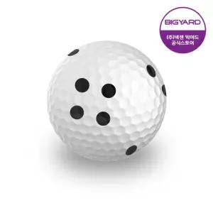 빅야드 골프공 레인지볼 2피스 300구 카카오 마킹 연습 스크린