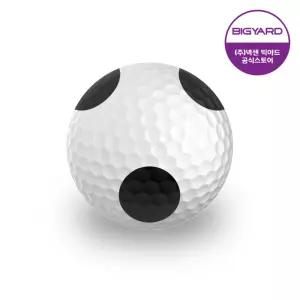빅야드 골프공 연습 스크린 필드 비거리 레인지볼 2피스 300구