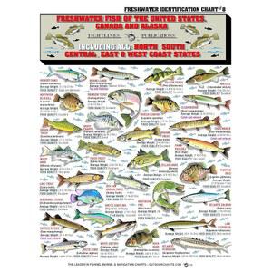 민물고기 식별 차트 낚시 방수 이상의 레퍼런스 YU 가이드 어종 50종 ID DS