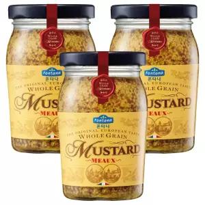 (1+1) 폰타나 홀그레인 머스타드, 200g, 3개 2Set