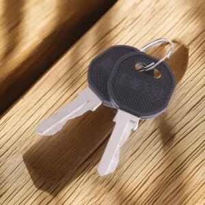 신뢰할 수 있는 K333 키: 엠카 엘디디스 프론트 가스 로커, MS300 캐비닛 시리즈 잠금 장치용 니켈 도금.