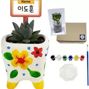 [골드스마일]미니 만들기 물감 화분 꾸미기 도자기 세트 채색 다육 DIY화분만들기