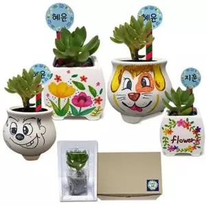 [골드스마일]화분 세트 키우기 식물 사무실 미니 도자기 다육 어린이화분세트