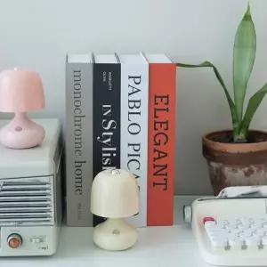 [콩심팥심]모형 리모콘 인테리어 소품 수납 가짜책 보관함