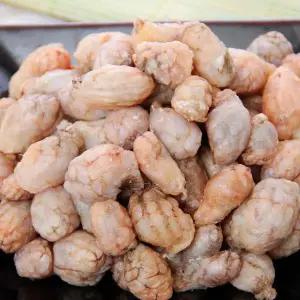 [해동찬가] 국내산 냉동 오만둥이 500g