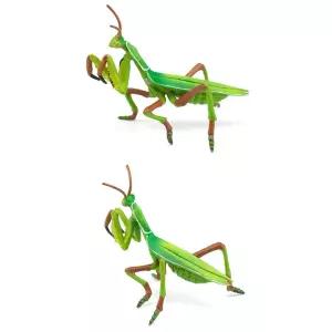 곤충피규어 사마귀 영유아 학습장난감 교육완구 유치원교구 5세선물