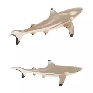 흑기흉상어 만타가오리 학습모형완구 장난감피규어 아이선물 유치원