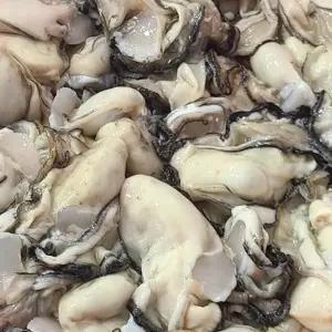 통영 생굴 1KG 통영생굴 통영깐굴 김장용굴 국내산생굴 국산생굴