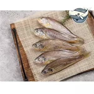 제주 바다 참조기 선물용 해산물 명절선물 해산물선물 고급선물 생선세트 추석선물