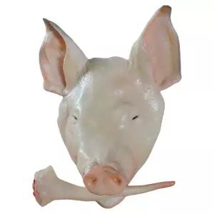 가짜돼지머리 개업식 제사 전시용 모형 고사 사실적인 족발 세척가능 디스플레이
