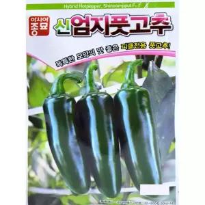 엄지고추 씨앗 신엄지풋 100립 종자
