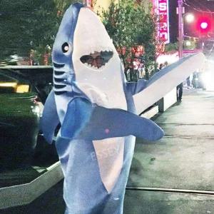 상어 의상 인형탈 공연 코스프레 코스튬 이벤트 포토존 할로윈 행사