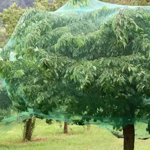 방조망 새 농작물 비둘기망 보호 참새 그물망 2x10M