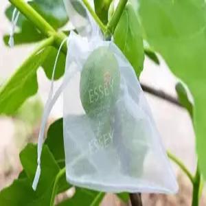 과수봉지 과실 보호망 과일 커버 그물망 열매 보호 농작물