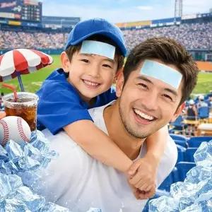 이마 쿨패치 아이스 냉각시트 야구장 야외용 2P DD-10252-1