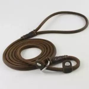 [반려] 리드줄 강아지 산책 목줄 소형 중형견 대형견