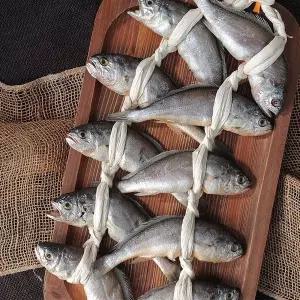 [NS홈쇼핑]국산 천일염 사용 영광굴비 선물용 2호(20미,1.75kg내외,20cm내외)..[29658010]