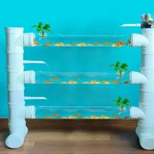 수경 어항 투명 선반 테라리움 식물 화분 랙 선인장 다육이 인테리어