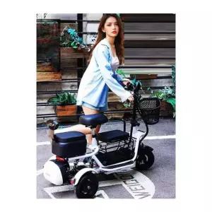 세발 전기자전거 성인용 접이식 배달 스쿠터 경량 여성용 바구니 트라이크