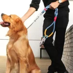 [반려] 반려견 목줄개줄 애견 리드줄 줄 강아지 꽈배기 60CM