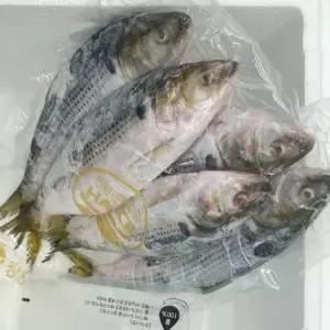 냉동 전어 3kg [BNU34343]