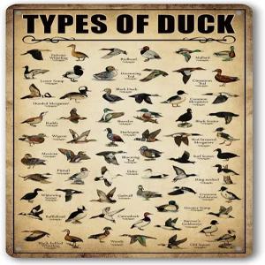 오리 양철 간판 사냥 장식 청둥오리 지식 금속 빈티지 가정용 주방 욕실 벽 예술 포스터 8 x 12 인치