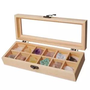 장 화석 고생물학 과학 수석 보관함 광물 표본 지질 역사 학교 수집품