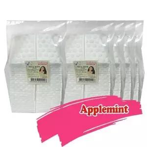 [에스에스_62]- 민트 코튼 미용솜 화장티슈 미용티슈 500매