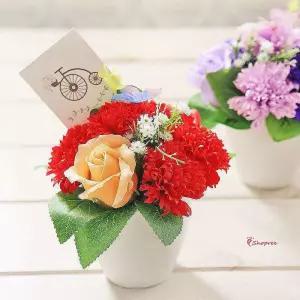 나비 비누꽃 어버이날 레드 화분 카네이션uvw625