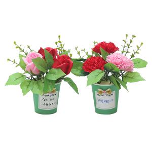 초록 비누꽃 화분만들기(카네이션,장미선택) / 패키지 DIY 어버이날 스승의날 꽃