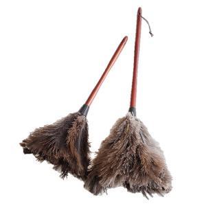 타조 먼지 털이개 먼지털이