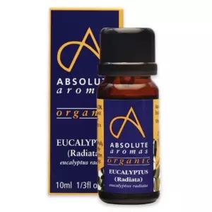 앱솔루트 유기농 에센셜오일 유칼립투스 라디아타 10ml
