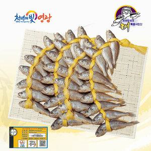 진품명품 영광 법성포 굴비 알뜰 실속 장대2호 40마리 2.0kg 봄조기 국산 참조기