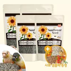 스위트버디 데일리 해바라기씨 350gx4 햄스터 앵무새