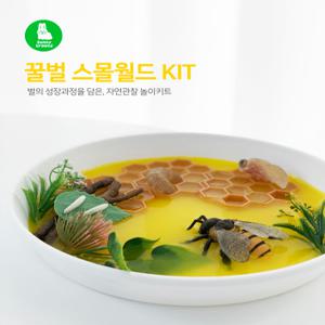 바니그라운드 꿀벌 스몰월드 놀이키트 / 독후활동 젤리한천 놀이트레이