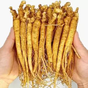 금산인삼 수삼 세척 4~6년근 원수삼 350g 24~33뿌리