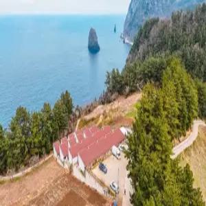 [경북 펜션] 울릉도 스테이섬씽 (울릉도)