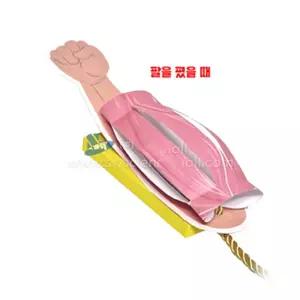 (지학사)팔근육 운동 모형 만들기