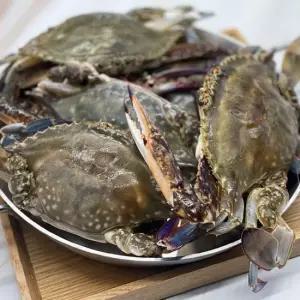 국내산 급냉 선동 꽃게 1kg