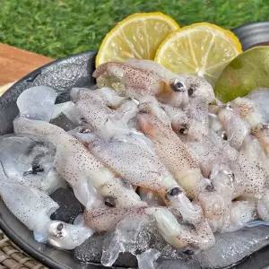 국내산 생물 횟감 호래기 1kg 꼴뚜기 대왕