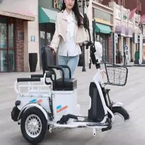 할리전동스쿠터 2인승 전기바이크 빅할리