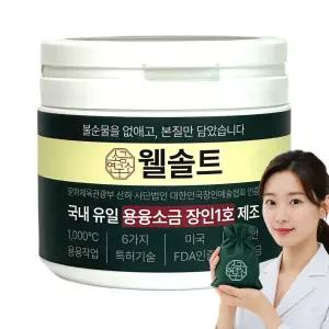 웰솔트 용융소금 소금물 융용 융융 미네랄 소금차 500g, 1개 
