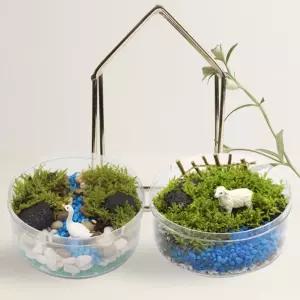 뚝딱 깃털이끼 테라리움 1인 만들기 꾸미기 교구 재료