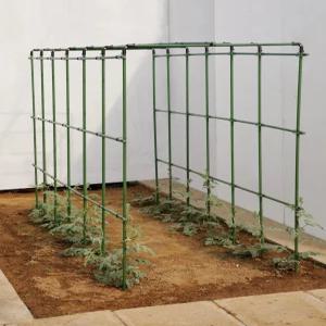 포도나무지지대 토마토 오이 지지대 텃밭 막대 고정