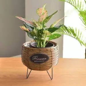 프로포즈꽃다발 바구니화분 스탠드화분 인테리어화분 식물화분 브라운 비누꽃