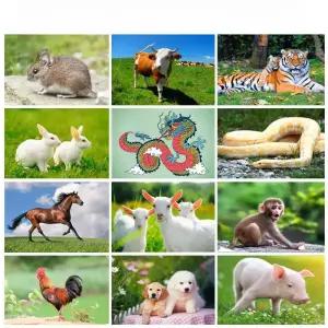 숫자 페인팅 캔버스 서핑 풍경 풍경화 DIY 거실 침실